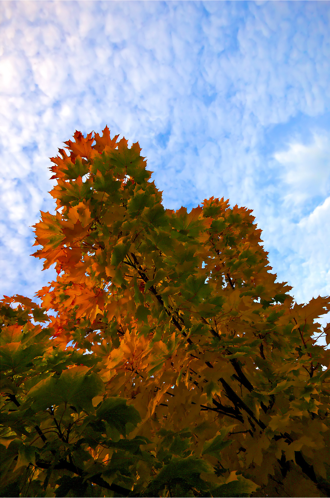  Z4Q1573   Arbeitskopie 2   Arbeitskopie 2